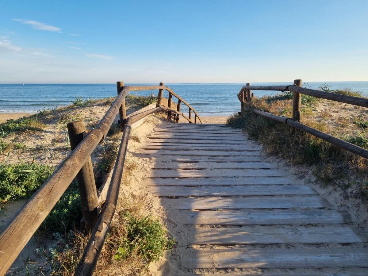 Hello Oliva Beach Ana Ngoại thất bức ảnh